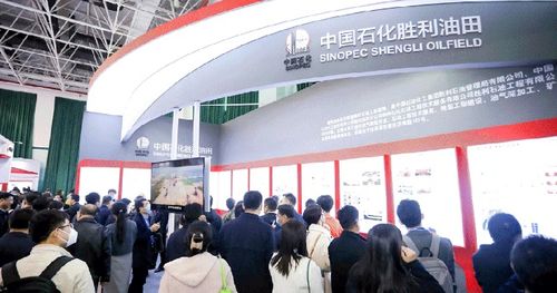 2024中國油氣開發(fā)技術(shù)年會 聚焦提質(zhì)增效，共繪能源新藍圖